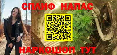 шишки Бузулук