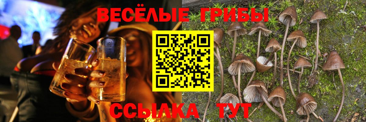 купить наркотик  Вход с VPN  Кумертау  Псилоцибиновые грибы мицелий 